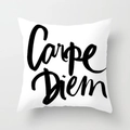 Federa per cuscino bianca minimalista con scritta artistica Carpe Diem in nero - 45x45 cm / Scritta Carpe Diem (DRD60-2)