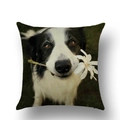 Leinen Kissenhülle mit Border Collie Print und weißer Blume auf beigem Grund - 45x45 cm / Border Collie mit Blume (YMD38-1)