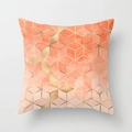 Pink marble style cushion cover with golden geometric lines and soft peach skin texture - 18x18 Inch / Coral Pink Gold-Watercolor Cube (DRD15-26)