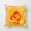 Macro detail of high-definition yellow rose print with water drops on square pillow cover - Yellow Rose Style (DRD192-26) / 18x18 Inch