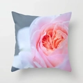 Close-up of pink rose print on square cushion cover with soft fabric texture details - Gentle Pink Rose Style (DRD192-24) / 18x18 Inch
