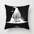 Detail of Halloween pillow case with white witch hat and Not Every Witch Lives In Salem text - Witch Hat Spider Style (DRD197-20)
