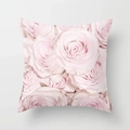 Square soft pillowcase featuring vintage light pink rose floral patterns for home sofa decor - Pale Pink Rose Style (DRD192-11) / 18x18 Inch