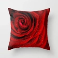 Square cushion cover featuring realistic dark red rose print with dew drops and soft fabric - Deep Red Dew Rose Style (DRD192-23) / 18x18 Inch