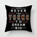 Square black pillow cover with white text Dream Big and decorative vintage line graphics - DREAM BIG (DRD334-9) / 18x18 Inch
