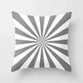 Modern grey sunburst geometric pillowcase made of soft peach skin fabric for sofa decor - Sunburst Stripes (DRS363-8)