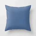 Moderner minimalistischer blauer Kissenbezug mit weicher Textur für das Sofa zu Hause - Standard Spezifikation / Blau (DRS11-25)