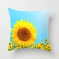 Square sunflower field printed pillow cover with blue sky and yellow flowers motif - Blue Sky Sunflower Field Photo (DRD393-21)