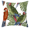 Fodera per cuscino quadrata con vivace pappagallo tropicale e foglie di monstera - 45*45cm / Motivo Pappagallo Verde Monstera (DRD71-5)