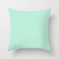 Modern mint green geometric square pillowcase with smooth matte finish for home decor - Solid Mint Green(DRD141-17)