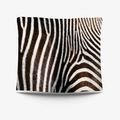 Square cushion cover with bold black and white zebra print on a crisp white background - 95X73 (Peach Skin) / Zebra Pattern (GT27-9)