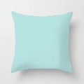 Square mint green cushion cover with minimalist modern design and hidden stitching - Solid Mint Green (DRD155-25)