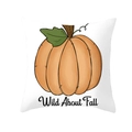 Square Thanksgiving cushion cover with orange pumpkin design and Wild About Fall text - Wild About Fall Pumpkin Style (DRD254-4) / 45x45 Square (No Insert)