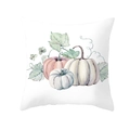 Macro shot of watercolor pumpkin print on high-quality square pillowcase fabric detail - Soft Triple Pumpkin Style (DRD255-5)