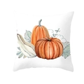 Detail shot of square Thanksgiving pillow cover with watercolor pumpkin and foliage prints - Orange White Double Pumpkin Style (DRD255-6)