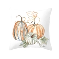 Detail of white square pillowcase with watercolor pumpkin patterns for Thanksgiving - Tricolor Morph Pumpkin Style (DRD255-12)