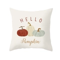 Close-up of square beige linen pillowcase featuring Hello Pumpkin and harvest graphics - HELLO Pumpkin Triple Pumpkin Style (DRD255-16)