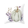 Macro shot of watercolor pumpkin and blue berries print on Thanksgiving cushion cover - Watercolor Pumpkin Berries Style (DRD255-24)