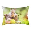 Funda de cojín de Pascua con un lindo conejo en una regadera y huevos de colores - Regadera Conejo (DRD231-12) / 30x50