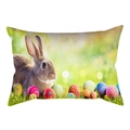Funda de cojín de Pascua con conejo marrón realista y huevos coloridos en el césped - Conejo Marrón Huevos de Pascua (DRD231-16) / 30x50