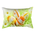 Funda de cojín de Pascua con huevos coloridos y margaritas sobre fondo de hierba - Huevos de Pascua Margaritas (DRD231-25) / 30x50