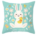 Housse de coussin lapin de Pâques vert menthe avec motif lapin et texte festif - 45x45 cm / Style Lapin Calinant Un Œuf Vert Menthe (DRD372-33)