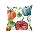 Funda de cojín de Acción de Gracias con calabazas en acuarela para decoración otoñal - Estilo Vides de Calabaza Tricolor (DRD255-3)