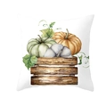 Square fall pillow cover with watercolor pumpkins in a wooden crate for Thanksgiving - Wooden Box Tricolor Pumpkin Style (DRD255-21)
