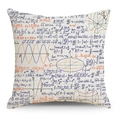 Detailansicht eines Kissenbezugs mit handgeschriebenen mathematischen Formeln - 45x45cm / Cremefarbene Mathe-Physik-Formeln (YMD136-10)