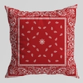 Deep red square cushion cover with white Paisley patterns for sofa decoration - Deep Red Paisley (CRD126-5) / 45*45cm (No Insert)