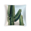 Square peach skin pillowcase featuring high-definition green cactus desert print - Drd454-31 / 45*45cm (No Insert)