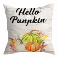 Hello Pumpkin autumn pillow case with watercolor harvest pumpkins on wood background - 45*45cm (No Insert) / Style 24