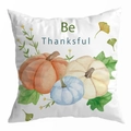 Be Thankful pumpkin harvest throw pillow cover with autumn leaves print on white - 45*45cm (No Insert) / Style 25