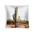 Square peach skin pillowcase featuring a realistic cactus desert landscape print - Saguaro Cactus Scenery (DRD454-35)