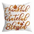 Thanksgiving pillow case with Thankful Grateful Blessed lettering and orange pumpkin - 45*45cm (No Insert) / Blessing Words Style (DRD292-7)