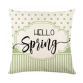 Green Spring pillow cover with HELLO Spring text polka dots and stripes for home sofa decor - 18x18 Inch / Hello Spring Dots Stripes (YMD256-2)