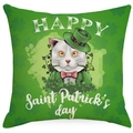 Saint Patrick's Day pillow cover featuring a cute white cat in green hat and lucky shamrocks - 45cmx45cm(No Insert) / Cartoon Cat Festive (YMD270-3)
