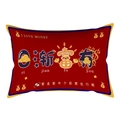 Chinese New Year festive red rectangular pillow cover with gold coins and lucky text print - Cover Only / Getting Rich Style (CRS24-10)