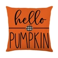 Oranje linnen kussenhoes met hello PUMPKIN-tekst en geblokt pompoenpatroon - Hello Pumpkin Tekstprint (YMD356-2)