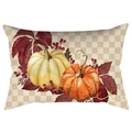 Funda de almohada rectangular para Acción de Gracias con calabazas y diseño de cuadros - 30*50cm / Calabazas de Dos Colores con Cuadros (DRD423-6)