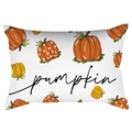 Funda de cojín lumbar blanca con patrones de calabaza y texto pumpkin impreso - 30*50cm / Varias Calabazas Pumpkin (DRD423-11)