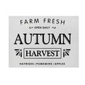 Farmhouse style autumn harvest place mat with pumpkin and apple print on linen fabric - CD28-10