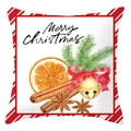 Christmas peach skin pillowcase with watercolor orange slices and golden bells - Red Stripe Border Orange Cinnamon Style (DRD420-23)