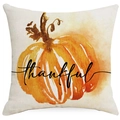 Linen pumpkin pillow cover with Thankful text, ideal for autumn home sofa decor - 18x18 Inch / Thankful Pumpkin - Beige