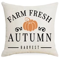 Thanksgiving pumpkin linen throw pillow cover with Farm Fresh Autumn Harvest print - Farm Fresh Autumn Harvest (TQYM8-2) / 45x45cm Linen Single Sided (Without Core)