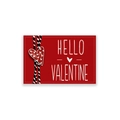 Drapeau de jardin Saint Valentin rouge à rayures avec inscription Hello Valentine - CD31-32