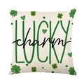 Square Saint Patrick's Day cushion cover with Lucky Charm print and green shamrocks - 45*45cm Linen Single-Sided No Insert / LUCKY charm (DYM19-4)