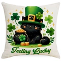 Detail of St. Patrick's Day pillow cover with cartoon black cat, clovers and lucky text - 45*45cm Linen Single-Sided No Insert / Black Cat with Gold Pot (DYM83-13)