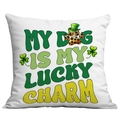 Close-up of St. Patrick's Day pillowcase featuring clover and leopard dog paw print design - 45*45cm Short Plush Single Sided Without Core / Leopard Paw Lucky Charm (CDR96-17)