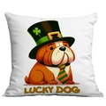 White square St. Patrick's Day pillowcase with cartoon bulldog and Lucky Dog text - 45*45cm Short Plush Single Sided Without Core / English Bulldog (CDR96-3)